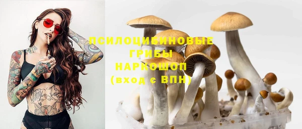 PSILOCYBIN Верхний Тагил